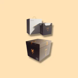 Custom Medical Device Packaging
